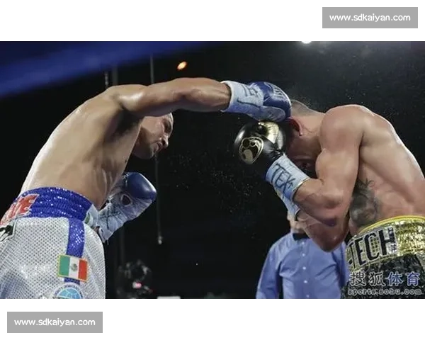 拳坛经典对决回顾米奇加西亚大战萨利多的技术与意志碰撞全面解析
