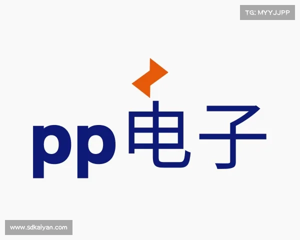 关于&#x70;&#x70;&#x7535;&#x5b50;